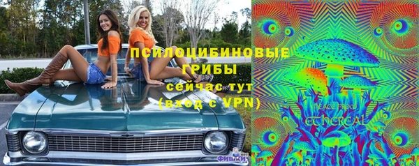 круглые Алексеевка