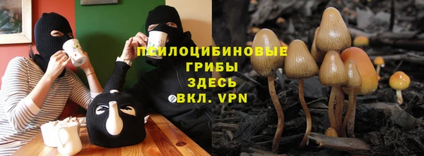 круглые Алексеевка