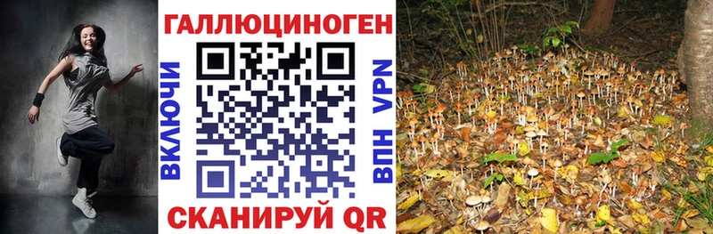 Галлюциногенные грибы Cubensis  Циолковский 